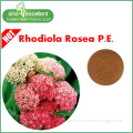 Rhodiola Rosea P.E. Salidroside, Rosavin